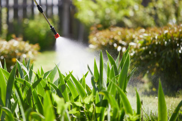 24/7 Emergency Wasp Removal experts in Kurtistown, HI